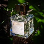 Louis Vuitton On The Beach EDP – The Fragrance Decant Boutique™