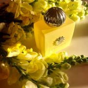 BeautyLIV  Amouage Love Mimosa Eau de Parfum Gift Set