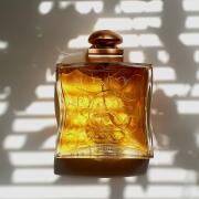 24 Faubourg Hermès perfume - a fragrância Feminino 1995