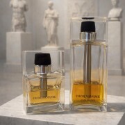 Dior Homme 2005 Dior cologne - a fragrance for men 2005