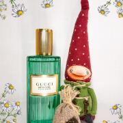 Amazon.com : Gucci Memoire DUne Odeur Women EDP Spray 2 oz