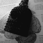 Photo by SalivatingSoul-stice