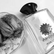 Portrayal Man Amouage cologne - a fragrance for men 2019
