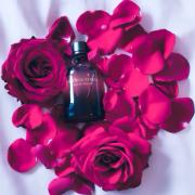 Photo by Lady in Red