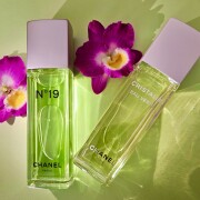 Chanel N°19 Eau de Toilette (2023) Chanel аромат - аромат для