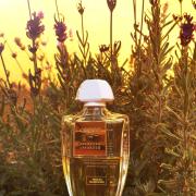 CR2 クリード　アクアアバティーンラベンダーEDP100ml Aberdeen Lavender Creed perfume - a fragrance for women and