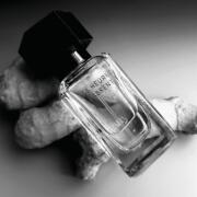 Les Heures Passent (Into The Joyful) Zara perfume - a novo
