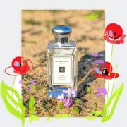 Poppy and barley outlet fragrantica