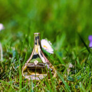 Idylle Guerlain perfume - a fragrance for women 2009