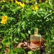 Molinard de Molinard Molinard perfume - a fragrância Feminino 1979