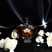 Shalimar Millésime Jasmin Guerlain perfume - a new fragrance