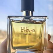 Photo by SteluStelly