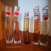 Flower by Kenzo L'Absolue Kenzo perfume - a fragrance for women 2022