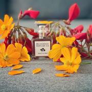 Photo by Josetran1987