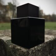 Photo by Nestor Petrovich