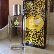 lavanila fragrantica