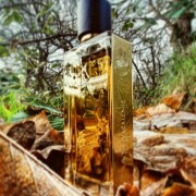 Bois d'Armenie Guerlain perfume - a fragrância Compartilhável 2006