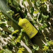 A Floral Verse Gucci perfume - a fragrância Compartilhável 2023