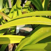 Photo by AllThatJaZZ