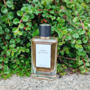 Heat Wave Prada perfume - a fragrance for women and men 2015