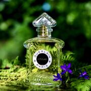 Mitsouko Eau de Toilette Guerlain perfume - a fragrance for