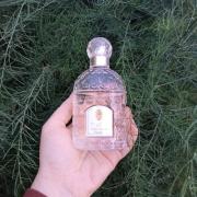 Guerlain Eau de Fleurs de Cèdre 100ml Guerlain Eau De Fleurs De Cedret UNISEX woda toaletowa - 100ml