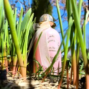 Guimauve Reminiscence parfum - un parfum de dama 2013