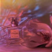 Chanel No 5 Eau Premiere (2015) Chanel perfume - a fragrance for women 2015