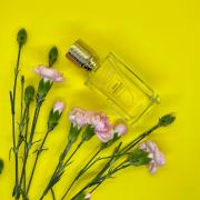 Fleur Narcotique Signature Rose De Mai Ex Nihilo perfume - a fragrance ...
