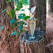 Ambre Tigré Limited Edition by Givenchy » Reviews & Perfume Facts