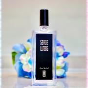 Parfum d'ambiance Joie D, Hiver 500 ml – Aromaticks