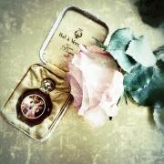 Photo by Bloodberry1