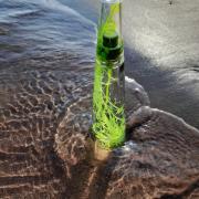 Photo by Poison Girl