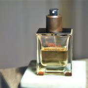 Terre D'Hermes Eau Intense Vetiver Hermès cologne - a fragrance for men ...