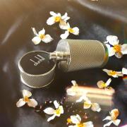 Icon Alfred Dunhill cologne a fragrance for men 2015