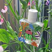Nature Insolente Maison Matine perfume - a fragrance for