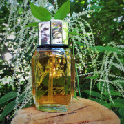 Luciano Soprani Luciano Soprani perfume - a fragrance for women 1987