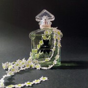 La Petite Robe Noire Eau Fraiche Guerlain parfum - un parfum de