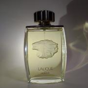 Lalique pour homme online fragrantica