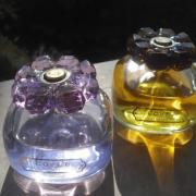 Covet fragrantica 2025