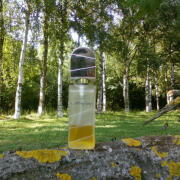 Photo by Lady Winter