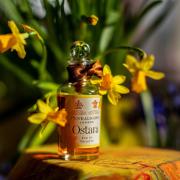 Penhaligon's ostara online