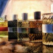 Dior Christian Dior Men's Eau Sauvage Extreme Intense EDT Spray 3.4 oz  Fragrances 3348900959385 - Fragrances & Beauty, Eau Sauvage Extreme -  Jomashop