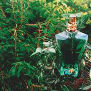 香水(ユニセックス) JPG Le Beau Paradise Garden 75ml Le Beau Paradise Garden