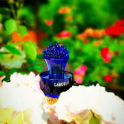 Gardelia 2025 Bogue perfume - a new fragrance for women and men 2025