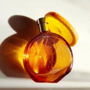 Elixir des Merveilles Hermès perfume - a fragrance for women 2006