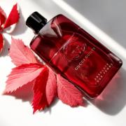 Gucci Absolute pour Femme Gucci perfume - fragrance for 2018