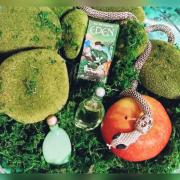 Photo by Wiewi&oacute;rka 0302