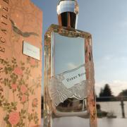 darby rose perfume