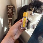 Photo by gourmandgoddess1993